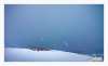 Snow storm, Cuverville Island, Antarctica