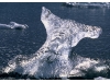 3a-b001-ice-whale-tale