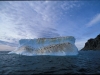 penguin-iceberg