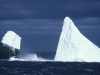 antarctic2-blackwhite-berg
