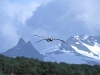 antarctic47-wanderer-flypast